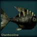 dantooineblack