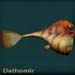 dathomirblue