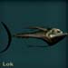 lokblue