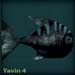 yavinblack