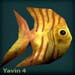 yavinblack